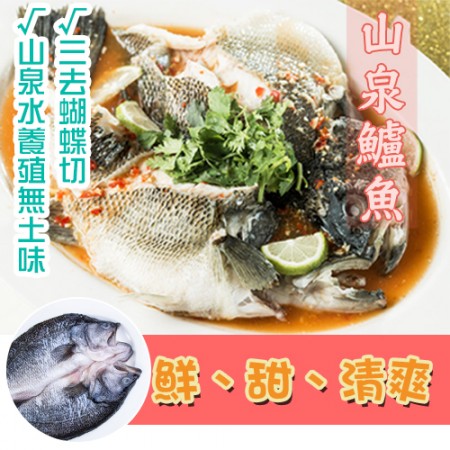 宜蘭山泉水養殖鱸魚/一台斤